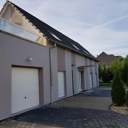 Gites Spa Strasbourg - Villa Cerf - Spa Prive, Sauna, Borne D'Arcade, Babyfoot Ittenheim エクステリア 写真