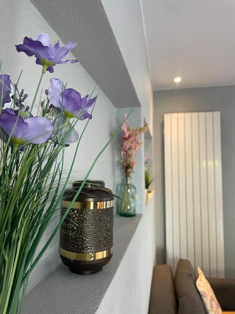 Gites Spa Strasbourg - Villa Cerf - Spa Prive, Sauna, Borne D'Arcade, Babyfoot Ittenheim エクステリア 写真